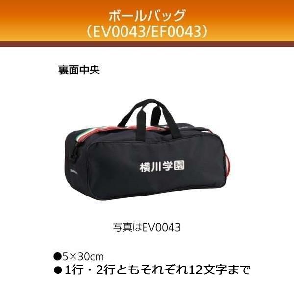 モルテン(MOLTEN) EV0043 バレーボールバッグ3個入れ 20%OFF | オーダーシューズ.JPN.COM