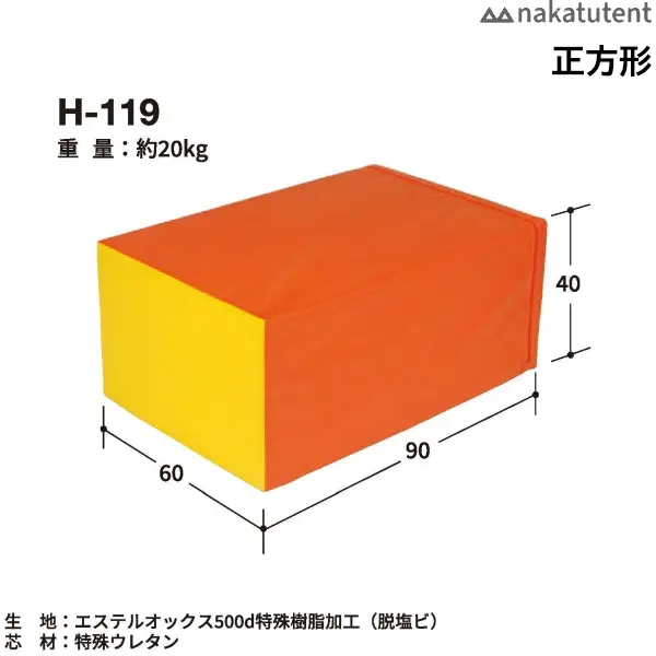 H-119