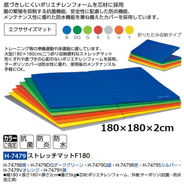 トーエイライト(TOEILIGHT) ストレッチマットF180 (メーカー直送) 20